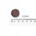 BALTICA sucha karma dla psa Dziczyzna z owocami M/L 3kg