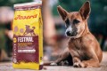 Josera Festival 12,5 kg dla smakoszy