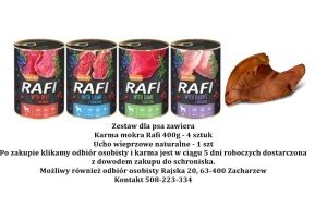 Prezent dla psów z Schroniska