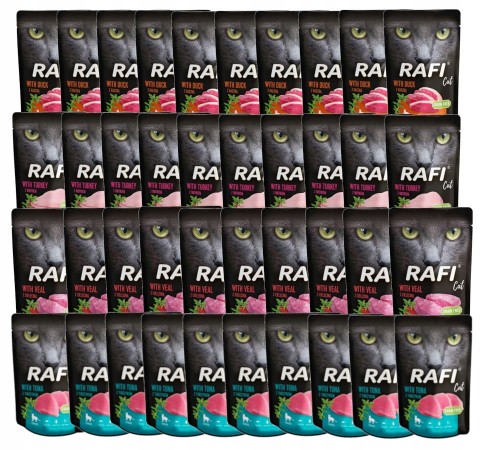 RAFI CAT karma kota mix 4 smaków saszetka 40x100g